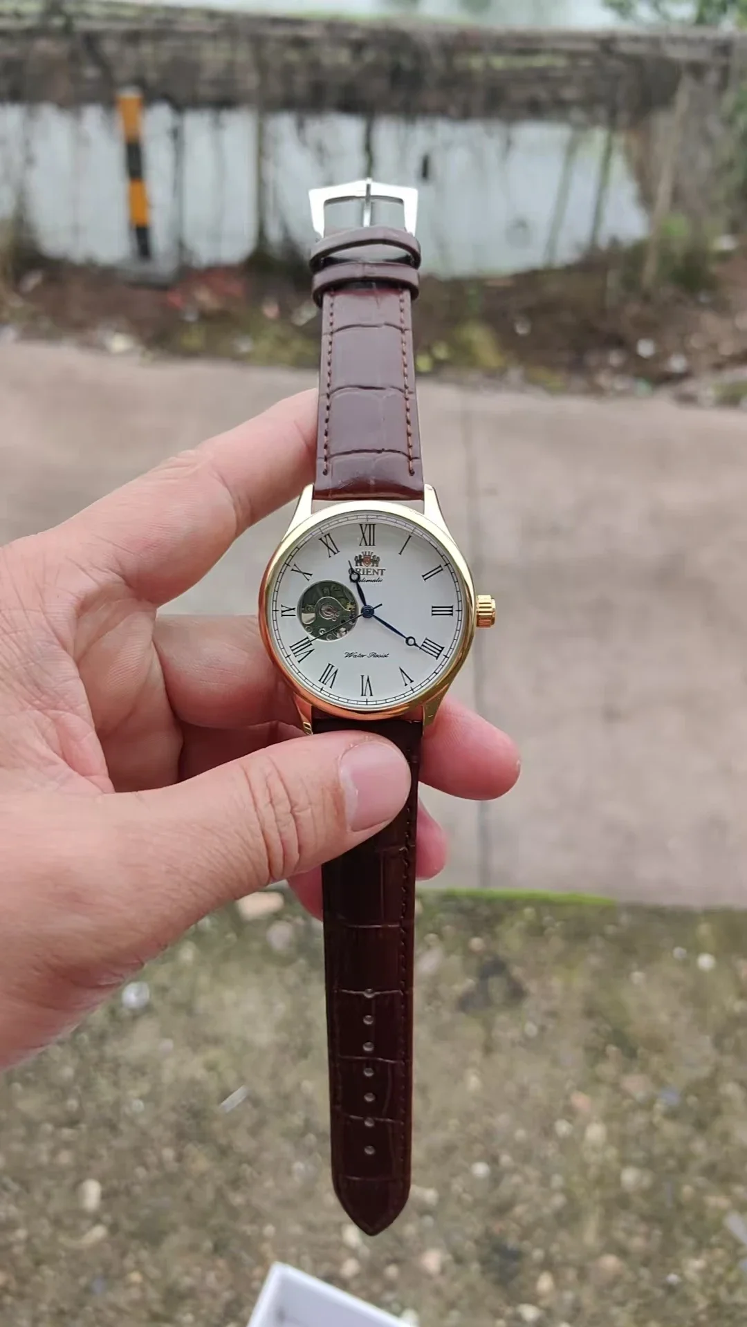 Механические часы-скелетон DFD – обзор и цена Seiko Watch Presage